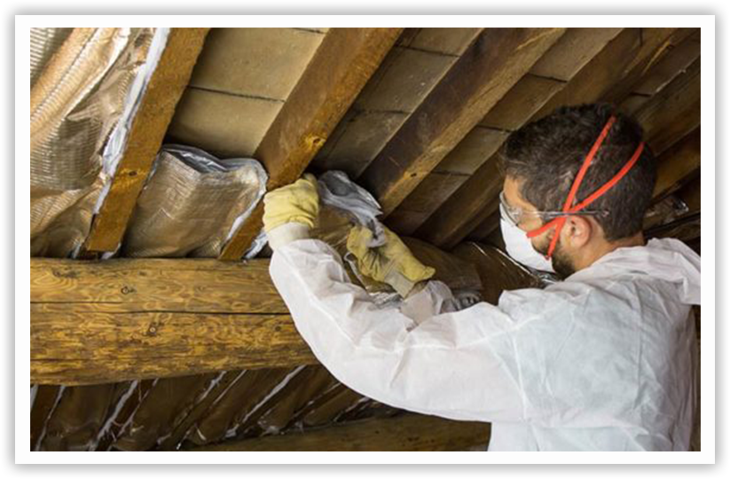 How Attic Insulation Cleanup After Animal Removal Protects Dallas Homes